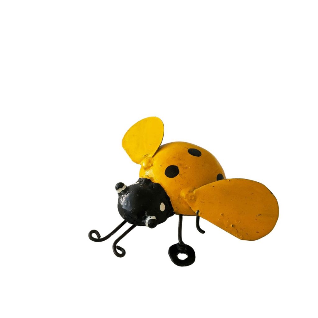 Coccinelle jaune