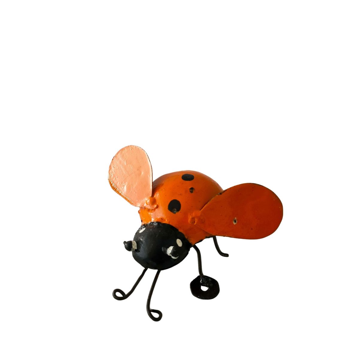 Coccinelle orange – Image 1