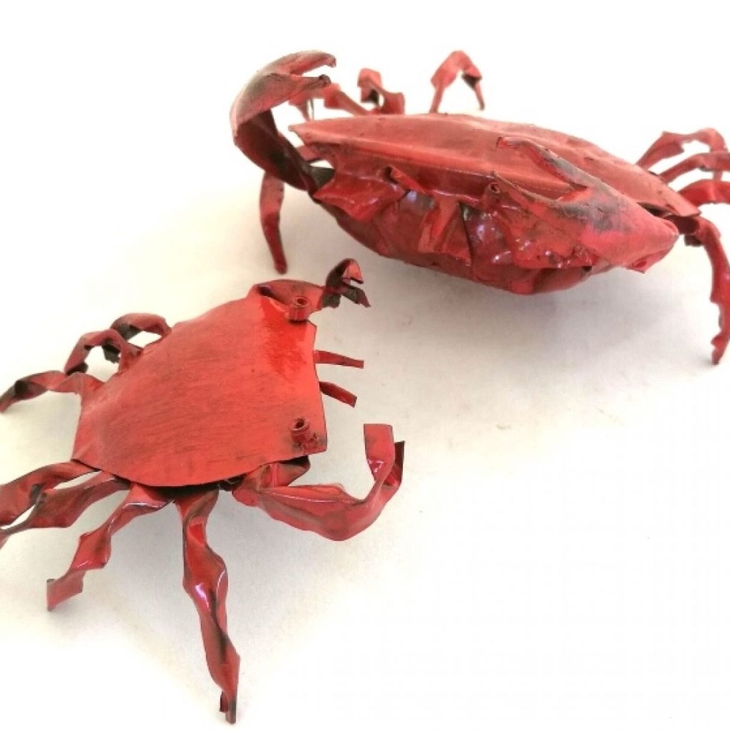 Crabe Cannette