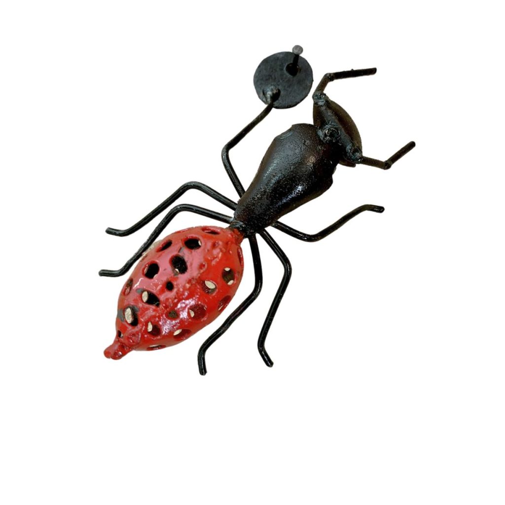 Fourmis grillage rouge 10cm