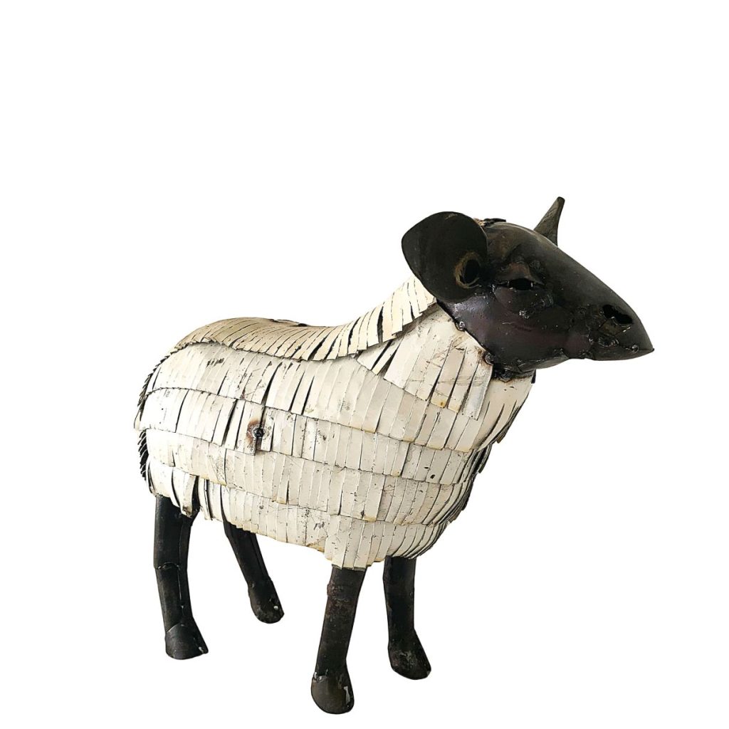 Mouton suffolk