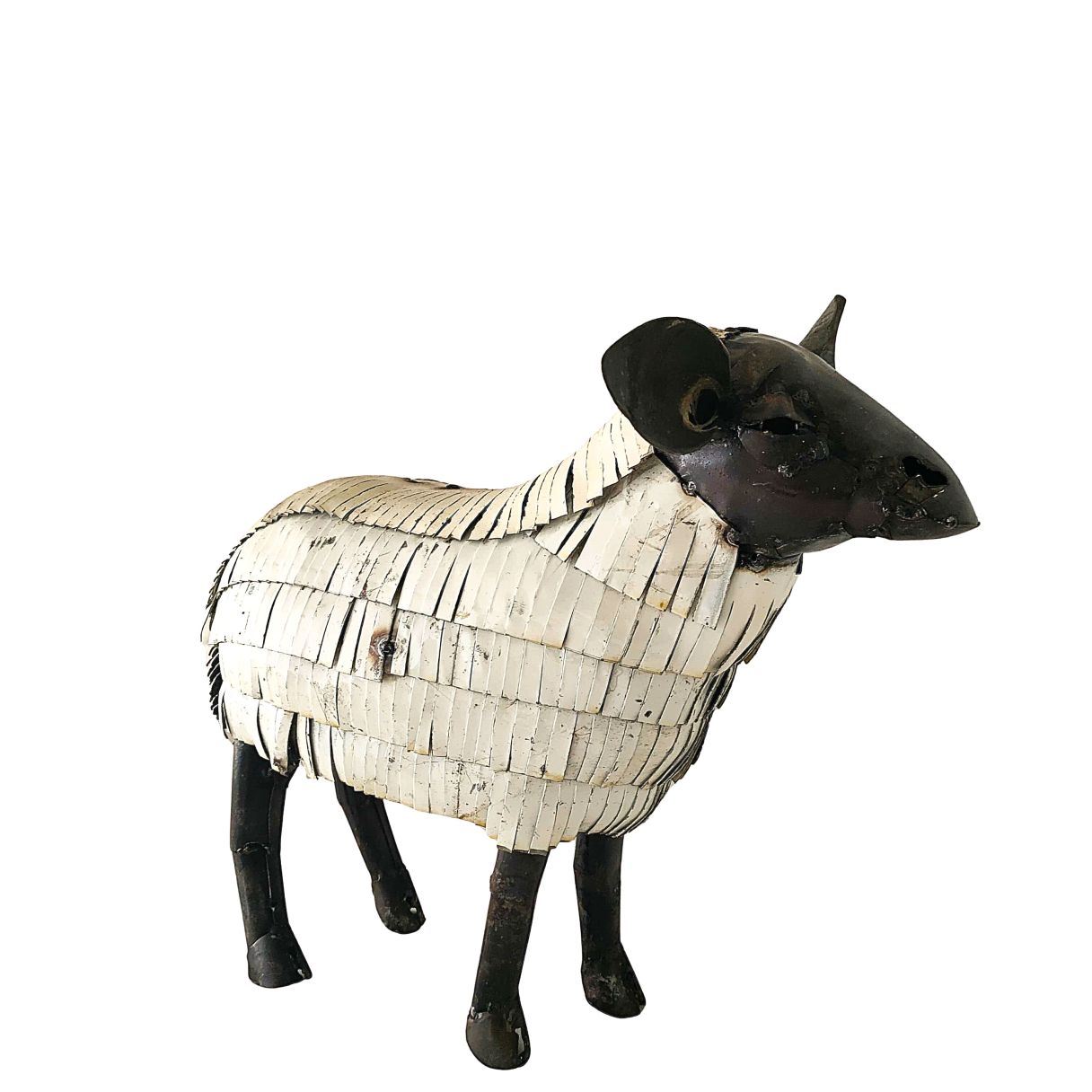 Mouton suffolk – Image 1