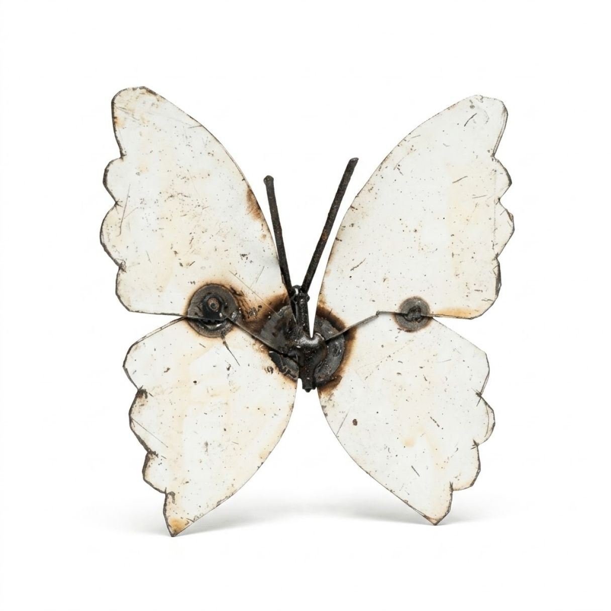 Papillon Fut Blanc mur – Image 1