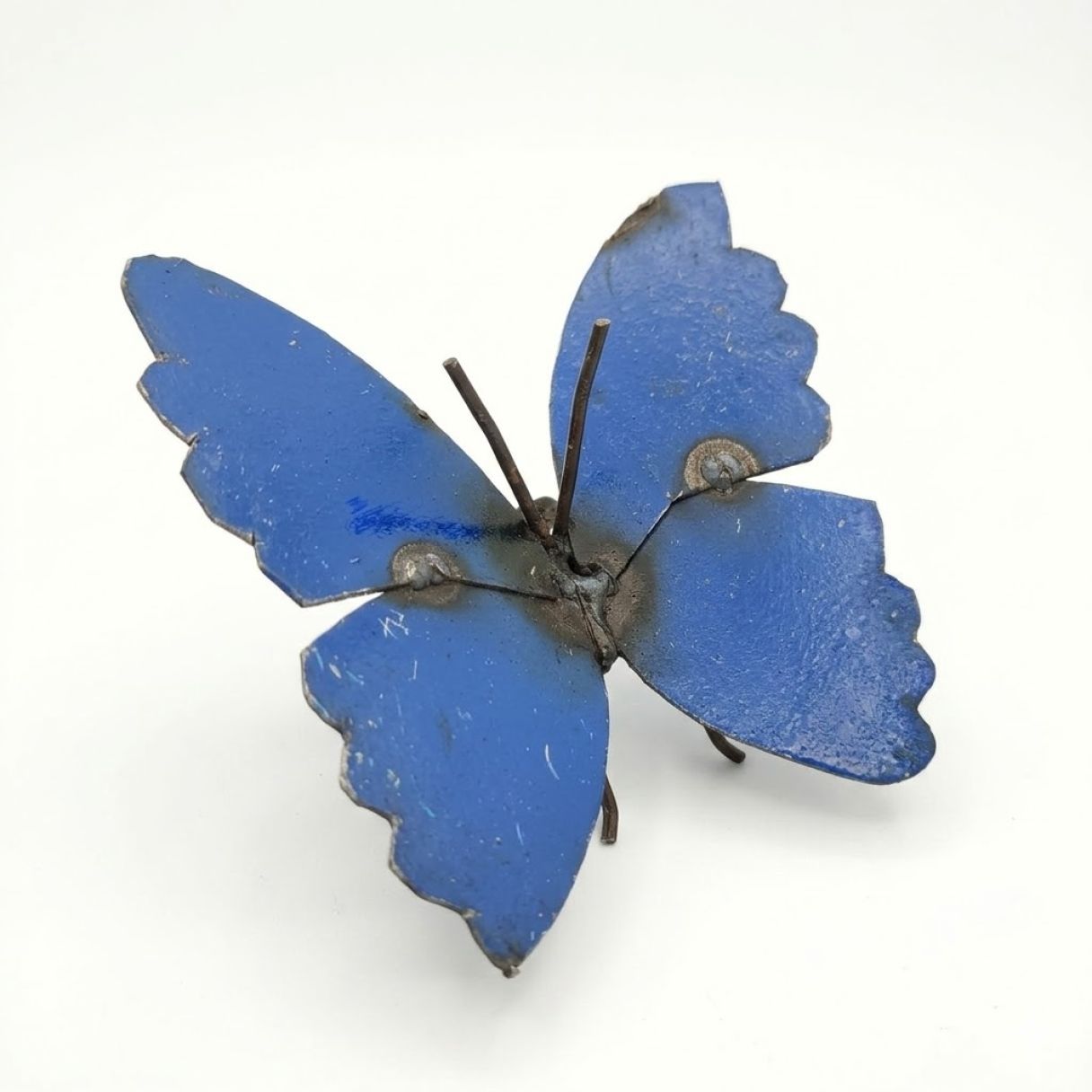 Papillon Fut Bleu mur – Image 1