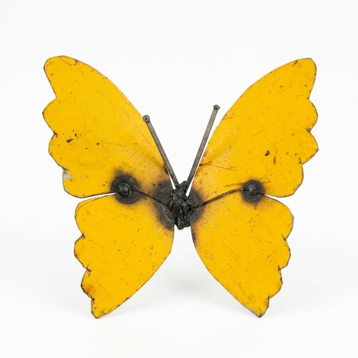 Papillon Fut Jaune mur – Image 1