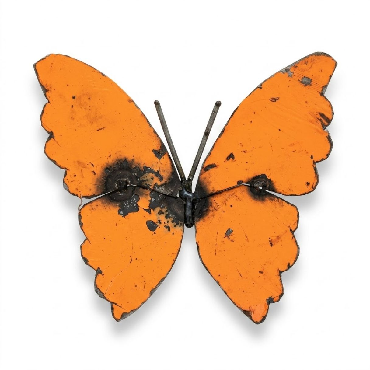 Papillon fut orange mur – Image 1