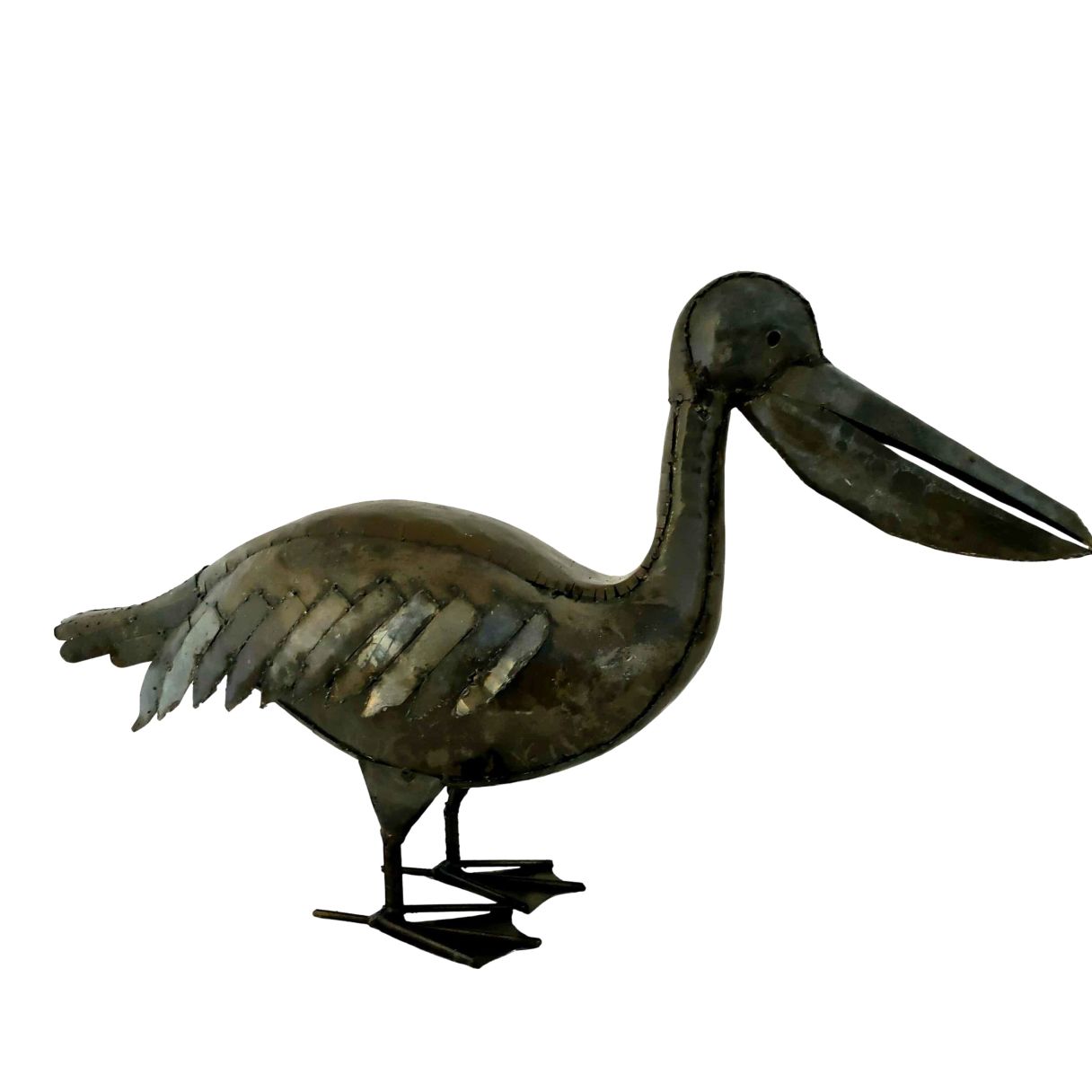 Pelican – Image 1