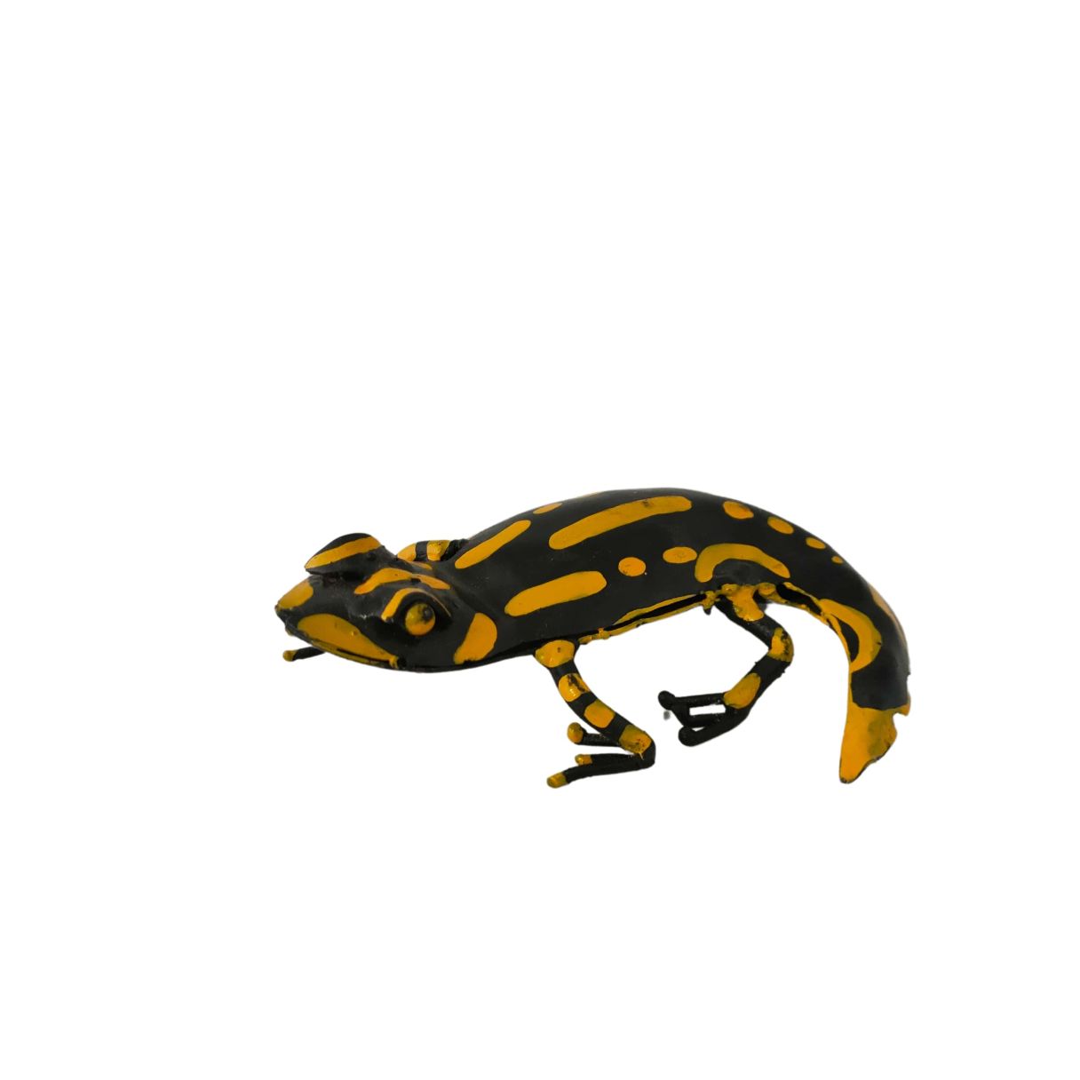 Salamandre jaune – Image 1