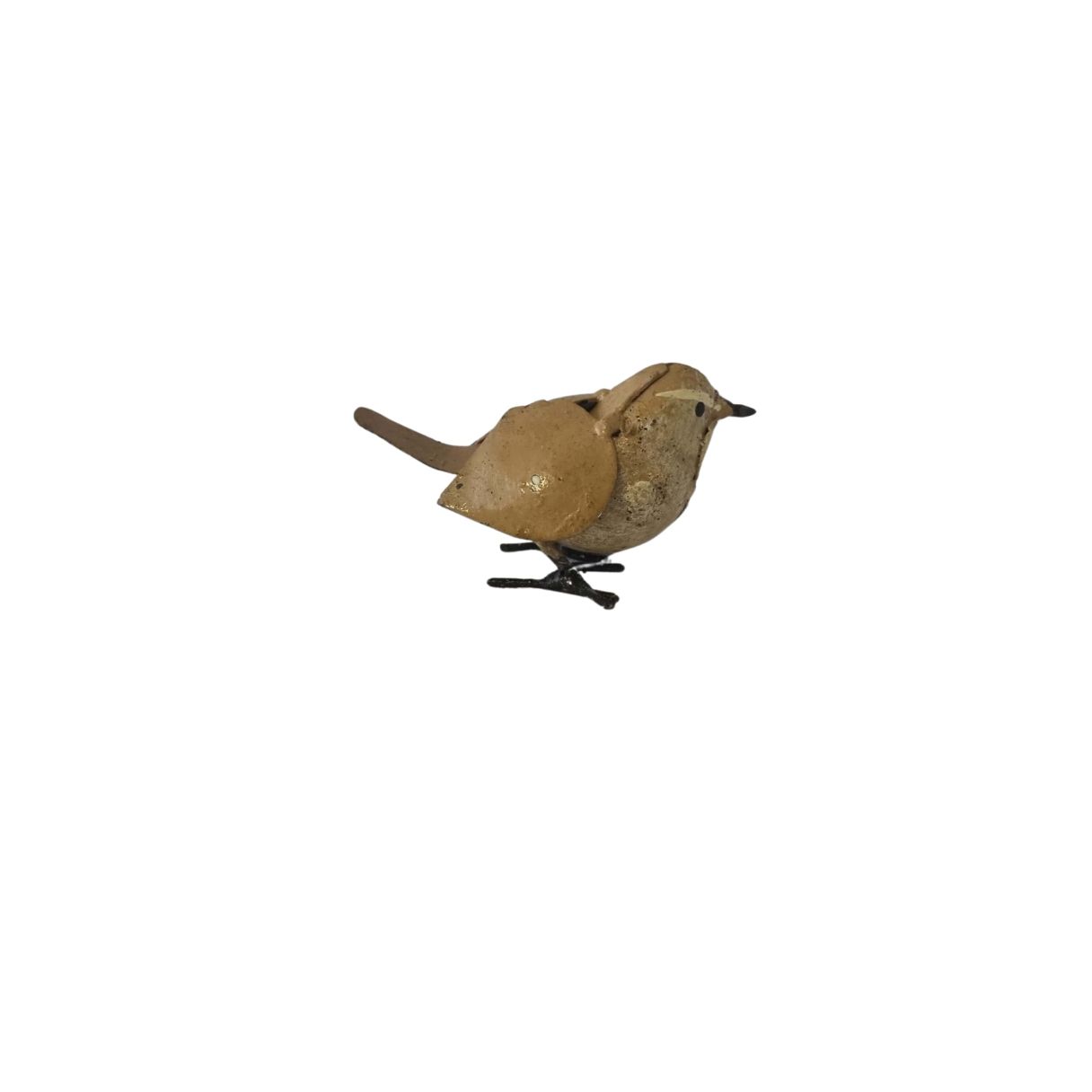 Troglodyte mignon gris – Image 1