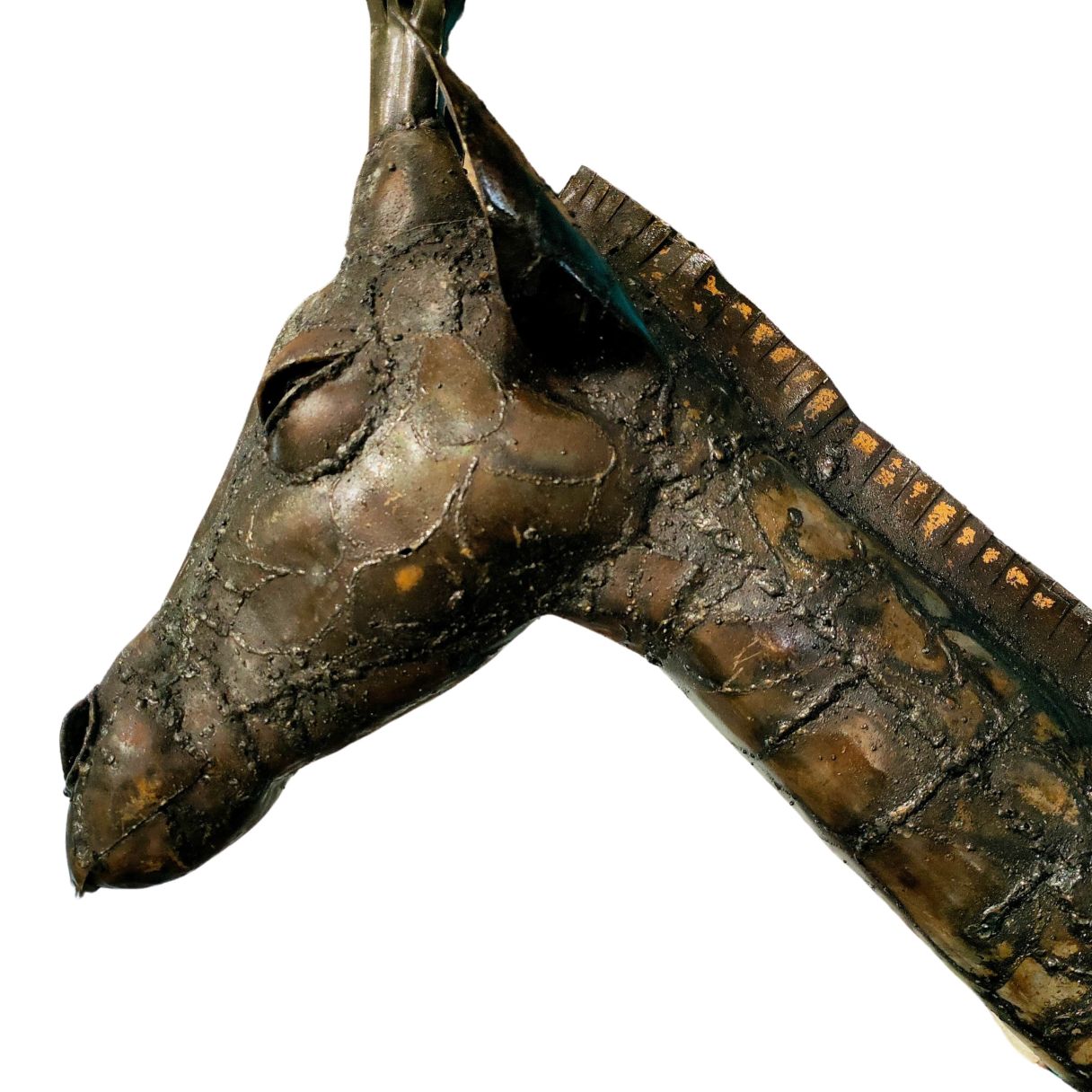 Trophée girafe – Image 1